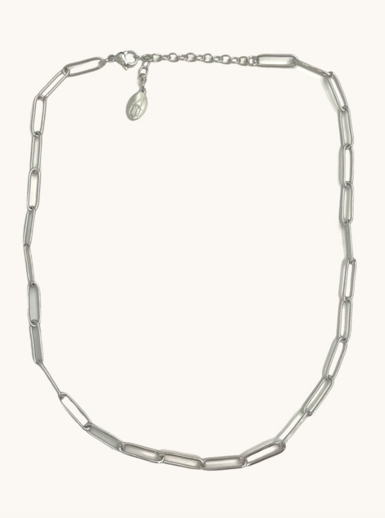 Sasha Silver Chain Necklace