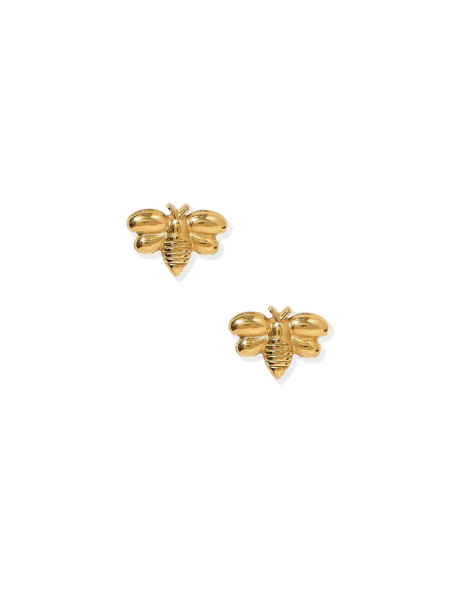 Bumble Bee Screwback Stud Earrings - The Collective Rose
