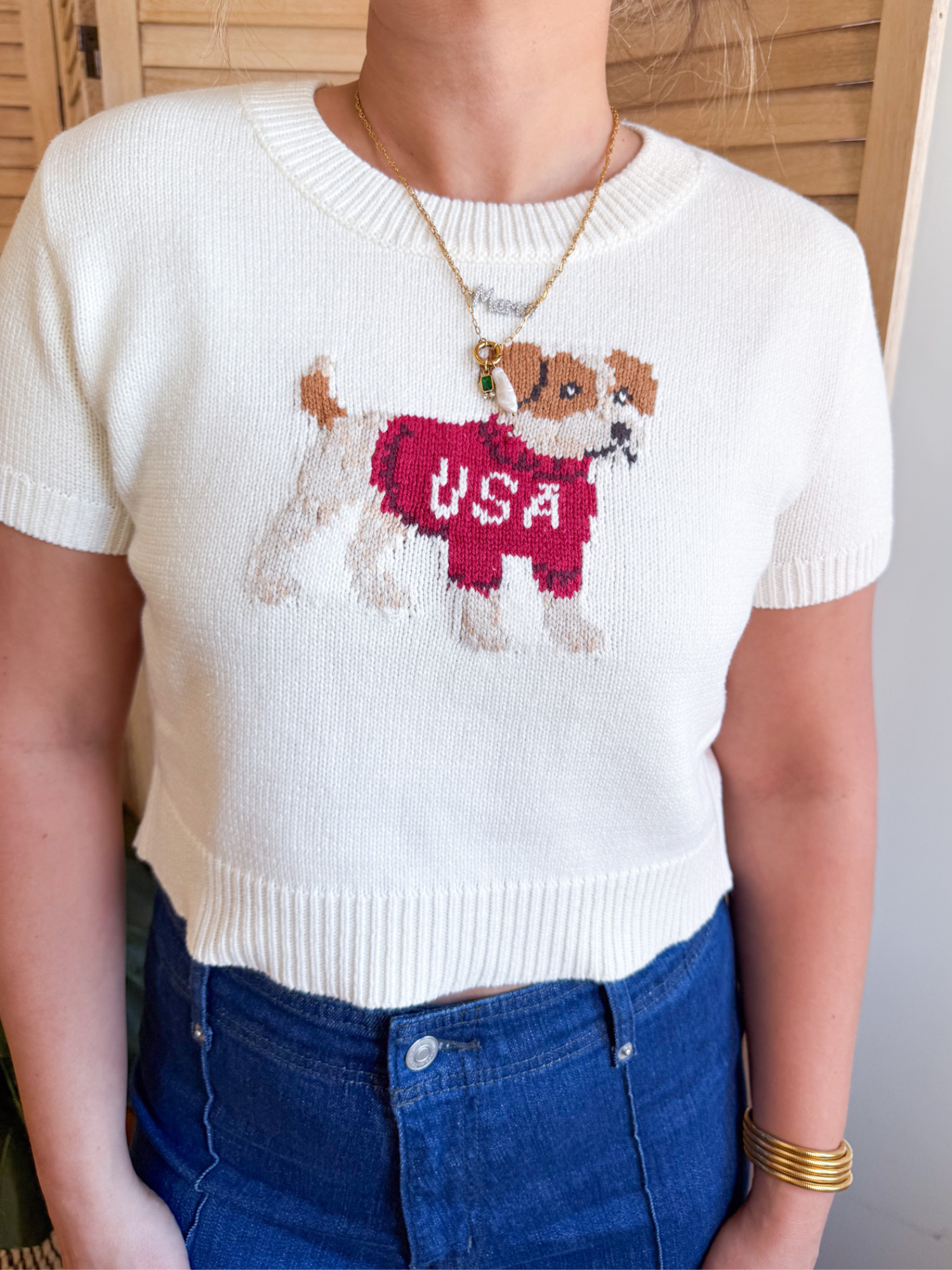 USA Puppy Sweater - The Collective Rose